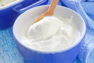 Creme de leite caseiro