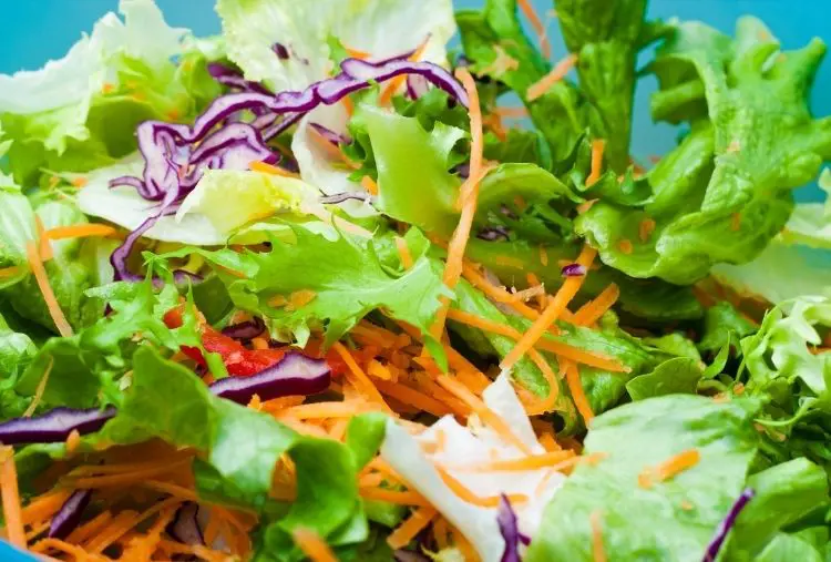 salada colorida de verão