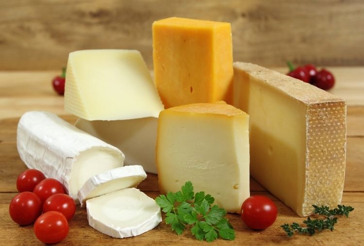 Como fazer queijo caseiro