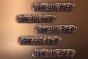 Biscoito crocante de chocolate