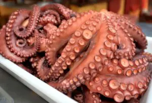 Como cozinhar polvo na panela de pressão