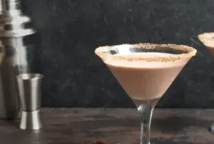Amarula caseira com leite em pó
