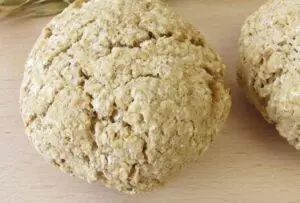 Pão de Aveia e Cogumelo Low Carb
