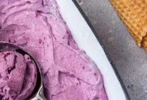 sorvete de jabuticaba com iogurte