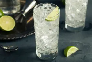 agua tonica com vodka